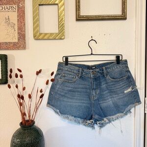 Fashion Nova Distressed Blue Jean Shorts
